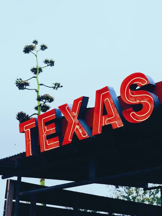 texas ip texas ip